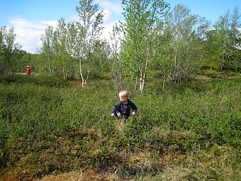 Abisko Juni 2009 dag 3 - 31.jpg